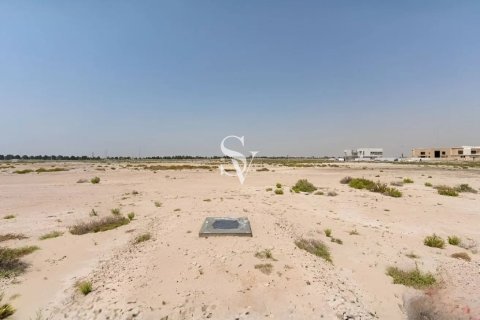Land in Jebel Ali, Dubai 941 sq.m. № 70243 - photo 6