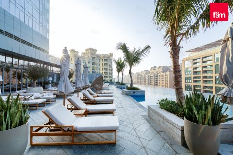 شقة في نخلة جميرا, دبي 48.7 م² رقم 91943 - صورة 15