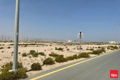 Land in Jebel Ali, Dubai 929.1 sq.m. № 50026 - photo 2