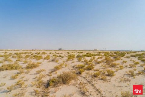 Land in Jebel Ali, Dubai 929.1 sq.m. № 50026 - photo 11