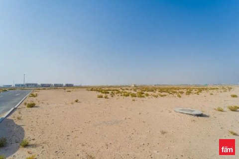 Land in Jebel Ali, Dubai 929.1 sq.m. № 50026 - photo 3
