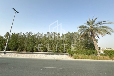 Terreno en Jumeirah Village Circle, Dubai, № 38927 - foto 6