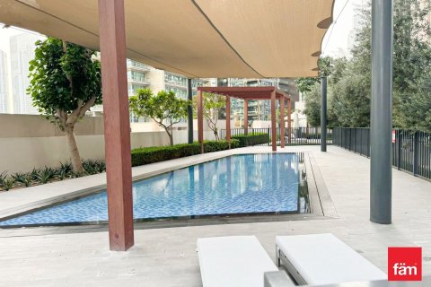 Apartamento en Downtown Dubai (Downtown Burj Dubai), Dubai, 2 dormitorios, 155.2 m², № 24639 - foto 16