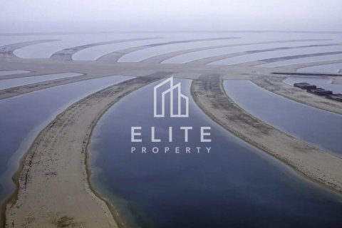 قطعة أرض في Palm Jebel Ali, دبي رقم 42235 - صورة 6