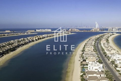 قطعة أرض في Palm Jebel Ali, دبي رقم 42235 - صورة 5