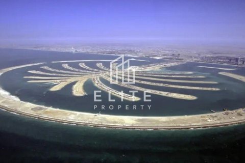 قطعة أرض في Palm Jebel Ali, دبي رقم 42235 - صورة 4