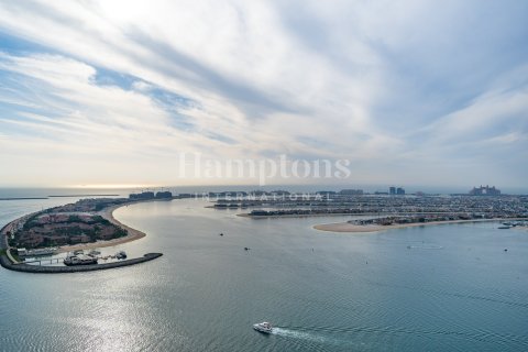 Apartamento en Dubai Harbour, Dubai, 1 dormitorio, 81.69982723 m², № 12927 - foto 3