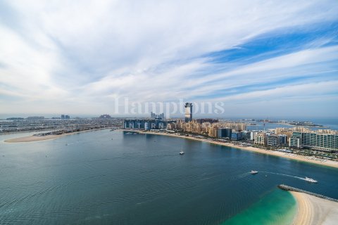 Apartamento en Dubai Harbour, Dubai, 1 dormitorio, 81.69982723 m², № 12927 - foto 4