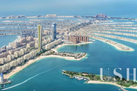 Apartment in Palm Jumeirah, Dubai 4 bedrooms, 1068 sq.m. № 39328 - photo 10