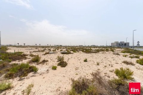 Land in Jebel Ali, Dubai 929.9 sq.m. № 84291 - photo 6
