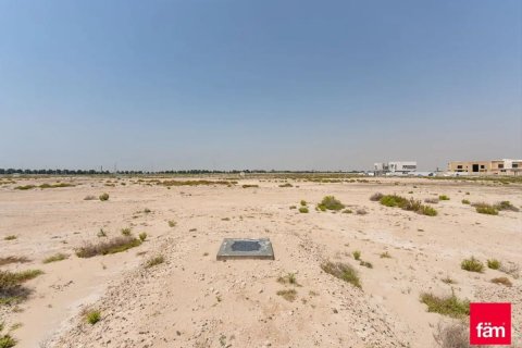 Land in Jebel Ali, Dubai 929.9 sq.m. № 84291 - photo 3