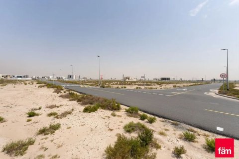 Land in Jebel Ali, Dubai 929.9 sq.m. № 84291 - photo 10