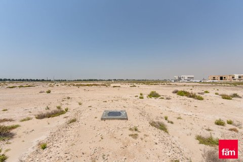 قطعة أرض في جبل علي, دبي 915 م² رقم 10148 - صورة 1