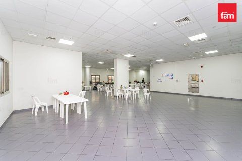 بناية في دبي 5388.1 م² رقم 12283 - صورة 6