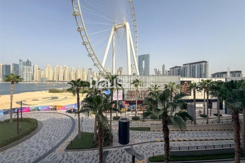 شقة في Bluewaters, دبي 3 غرف نوم, 157 م² رقم 44998 - صورة 22
