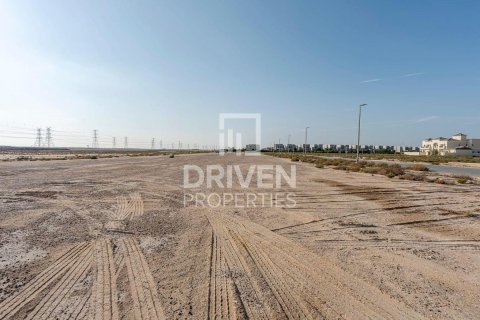 Land in Jebel Ali, Dubai 961.92 sq.m. № 127589