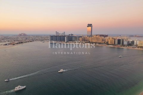 شقة في Dubai Harbour, دبي 2 غرف نوم, 107.44975174 م² رقم 12654 - صورة 24