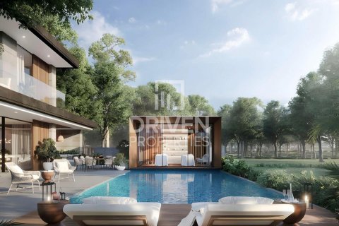 Villa à Tilal Al Ghaf, Dubai, 4 chambres, 549 m², № 87236 - photo 15