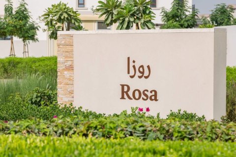 Rosa - foto 5