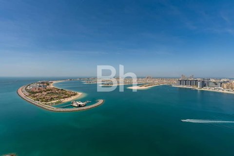 Apartment in Dubai Harbour, Dubai 3 bedrooms, 179 sq.m. № 57269 - photo 7