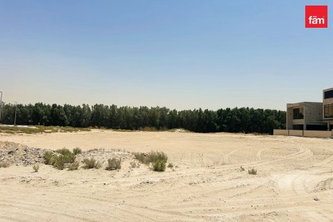 Terreno en Dubai, 464.9 m², № 16500 - foto 6