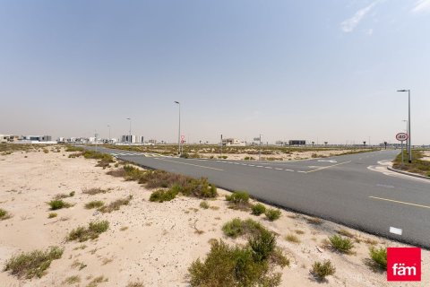 Land in Jebel Ali, Dubai 922.6 sq.m. № 77893 - photo 7