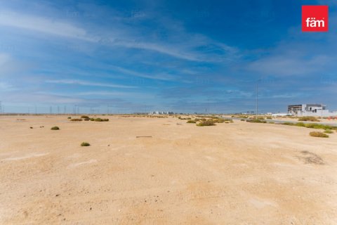 Land in Jebel Ali, Dubai 935.4 sq.m. № 71525 - photo 4