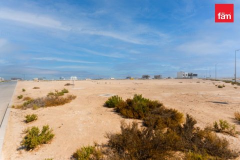 Land in Jebel Ali, Dubai 935.4 sq.m. № 71525 - photo 7