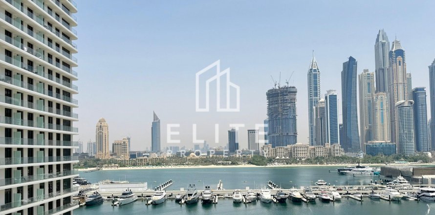 شقة في EMAAR Beachfront, Dubai Harbour, دبي استوديو, 81 م² رقم 42170