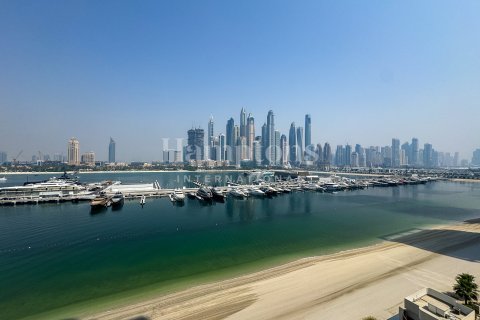Apartment in Dubai Harbour, Dubai 3 bedrooms, 171.47013807 sq.m. № 67681 - photo 20