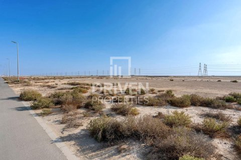 Land in Jebel Ali, Dubai 961.92 sq.m. № 137194 - photo 4