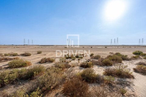 Land in Jebel Ali, Dubai 961.92 sq.m. № 137194 - photo 7
