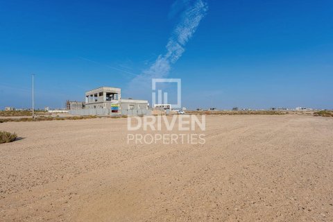 Land in Jebel Ali, Dubai 961.92 sq.m. № 137194 - photo 2
