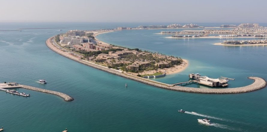 Apartment in SUNRISE BAY in EMAAR Beachfront, Dubai 1 bedroom, 76 sq.m. № 31041