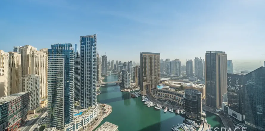 شقة في Marina Quay West, مرسى دبي, دبي 3 غرف نوم, 236 م² رقم 71304
