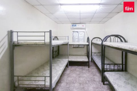 Labor Camp in Al Quoz, Dubai 854.7 sq.m. № 17095 - photo 10