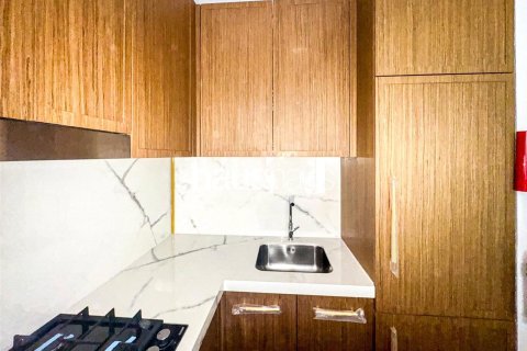 Apartment in Meydan, Dubai 1 bedroom, 56 sq.m. № 43744 - photo 12