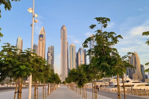 Dubai Harbour - photo 11