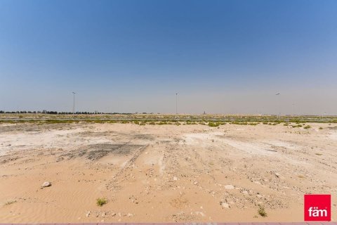 قطعة أرض في جبل علي, دبي 929 م² رقم 9069 - صورة 8