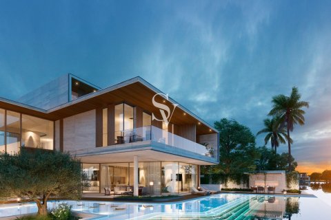 Villa en Tilal Al Ghaf, Dubai, 6 dormitorios, 979 m², № 68566 - foto 3