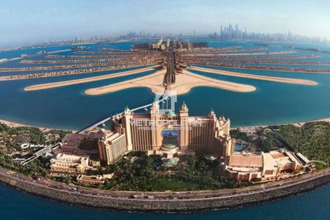 Купить земельный участок в Пальме Джумейре, Дубай: 1527м², № 73223 - фото 3