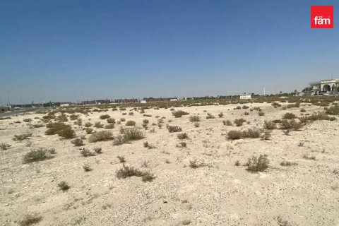 قطعة أرض في جبل علي, دبي 930 م² رقم 9843 - صورة 1