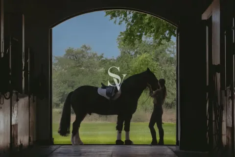 فيلا في مجمع دبي للاستثمار, دبي 4 غرف نوم, 315 م² رقم 68333 - صورة 8