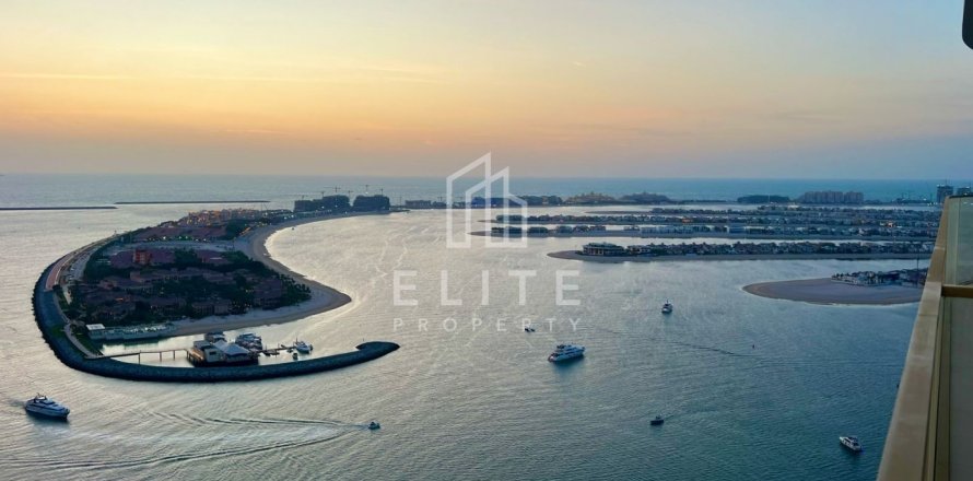 شقة في EMAAR Beachfront, Dubai Harbour, دبي استوديو, 84 م² رقم 38620