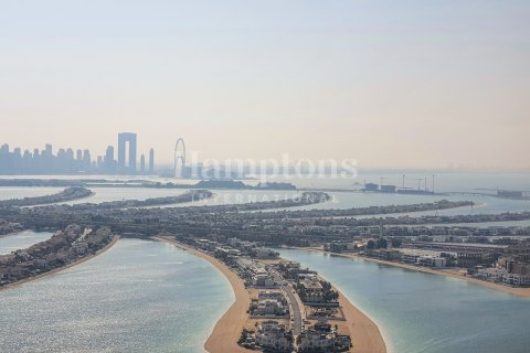 شقة في Atlantis The Royal Residences, نخلة جميرا, دبي 4 غرف نوم, 506.41425300 م² رقم 16251 - صورة 4