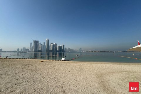 شقة في نخلة جميرا, دبي 33.4 م² رقم 6275 - صورة 12