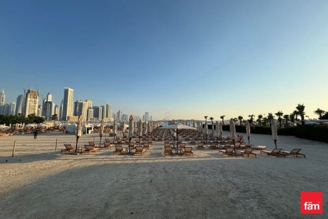 شقة في نخلة جميرا, دبي 33.4 م² رقم 6275 - صورة 10