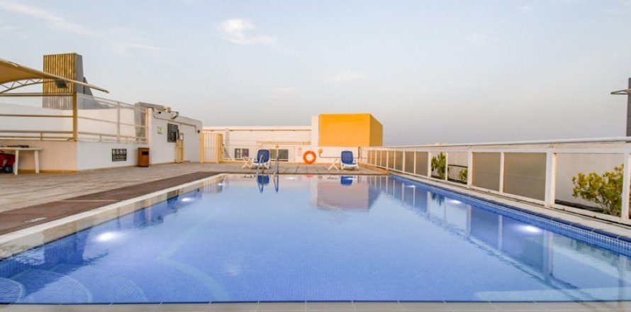 شقة في البرشاء, دبي 1غرف نوم رقم 2851