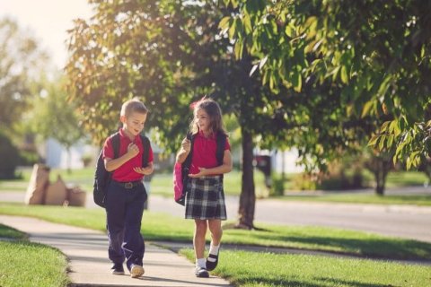 Купить квартиру в Пальме Джумейре, Дубай: 999 спален, 55м², № 62706 - фото 1