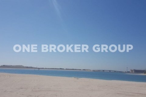 Terrain à Palm Jumeirah, Dubai, 543.5 m², № 206 - photo 5